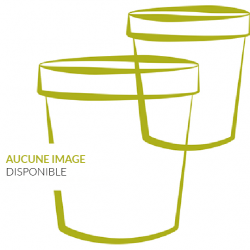 Couvercle plastique 500 gr